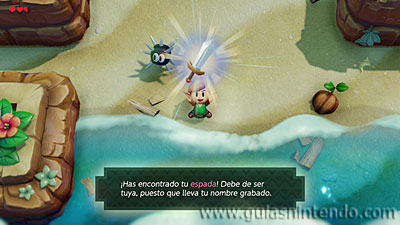 The Legend of Zelda: Link's Awakening