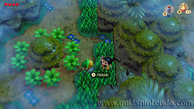 The Legend of Zelda: Link's Awakening