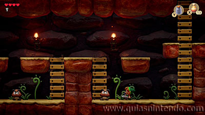 The Legend of Zelda: Link's Awakening