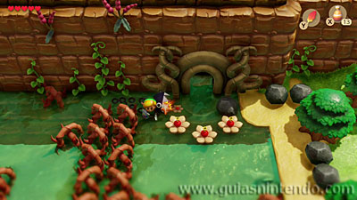 The Legend of Zelda: Link's Awakening
