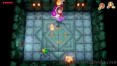 The Legend of Zelda: Link's Awakening