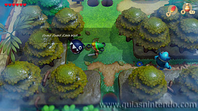 The Legend of Zelda: Link's Awakening
