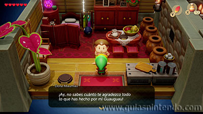 The Legend of Zelda: Link's Awakening