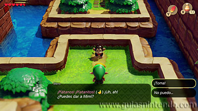The Legend of Zelda: Link's Awakening