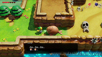 The Legend of Zelda: Link's Awakening