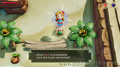 The Legend of Zelda: Link's Awakening