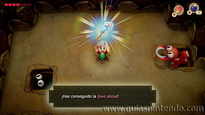 The Legend of Zelda: Link's Awakening