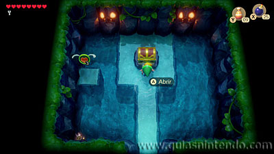 The Legend of Zelda: Link's Awakening
