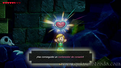 The Legend of Zelda: Link's Awakening