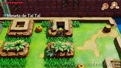 The Legend of Zelda: Link's Awakening