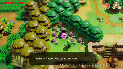 The Legend of Zelda: Link's Awakening