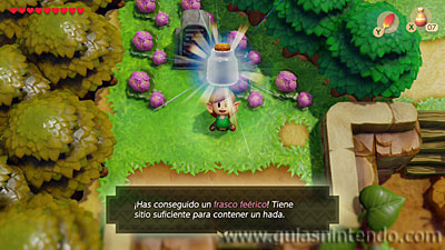 The Legend of Zelda: Link's Awakening