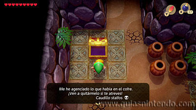 The Legend of Zelda: Link's Awakening