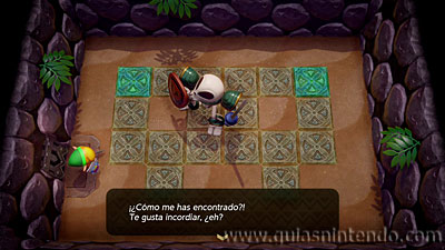 The Legend of Zelda: Link's Awakening
