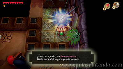 The Legend of Zelda: Link's Awakening