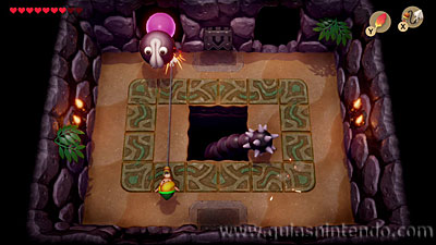 The Legend of Zelda: Link's Awakening