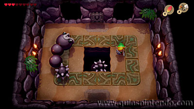 The Legend of Zelda: Link's Awakening