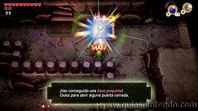 The Legend of Zelda: Link's Awakening