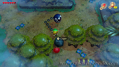 The Legend of Zelda: Link's Awakening