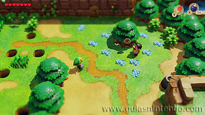 The Legend of Zelda: Link's Awakening