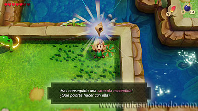 The Legend of Zelda: Link's Awakening