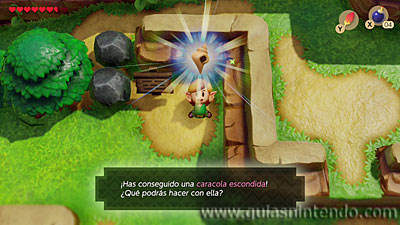 The Legend of Zelda: Link's Awakening