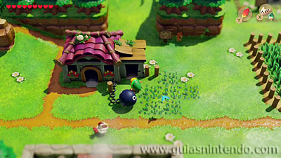 The Legend of Zelda: Link's Awakening