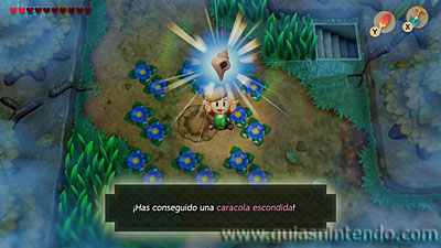 The Legend of Zelda: Link's Awakening