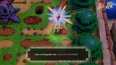 The Legend of Zelda: Link's Awakening