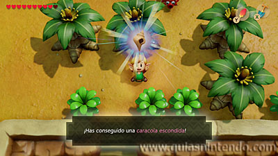 The Legend of Zelda: Link's Awakening