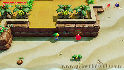 The Legend of Zelda: Link's Awakening