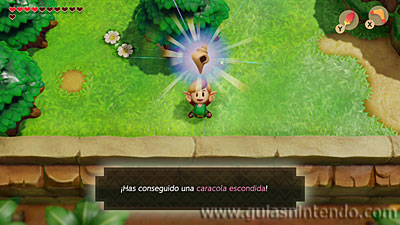 The Legend of Zelda: Link's Awakening