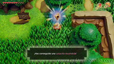 The Legend of Zelda: Link's Awakening