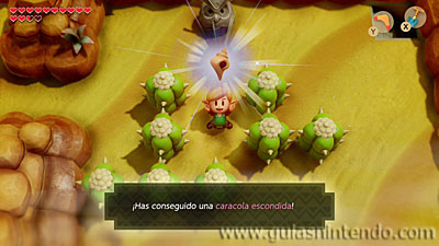 The Legend of Zelda: Link's Awakening