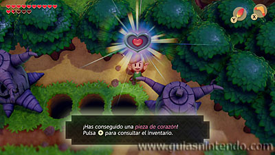 The Legend of Zelda: Link's Awakening