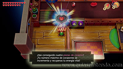 The Legend of Zelda: Link's Awakening