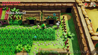 The Legend of Zelda: Link's Awakening