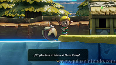 The Legend of Zelda: Link's Awakening