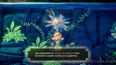 The Legend of Zelda: Link's Awakening