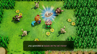 The Legend of Zelda: Link's Awakening