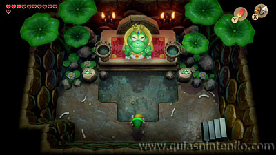 The Legend of Zelda: Link's Awakening
