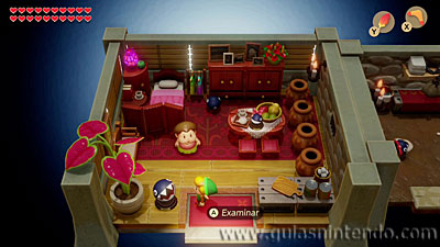 The Legend of Zelda: Link's Awakening