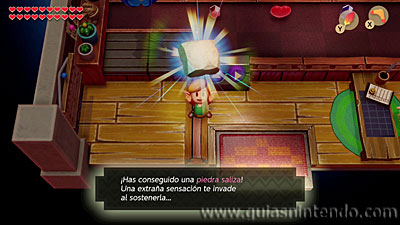 The Legend of Zelda: Link's Awakening