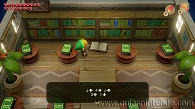 The Legend of Zelda: Link's Awakening