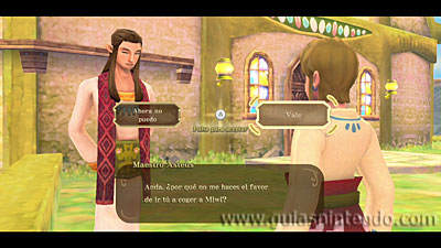 The Legend of Zelda: Skyward Sword HD