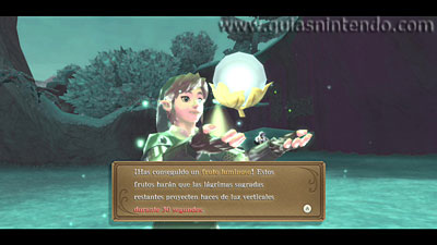 The Legend of Zelda: Skyward Sword HD