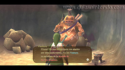 The Legend of Zelda: Skyward Sword HD