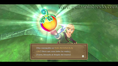 The Legend of Zelda: Skyward Sword HD