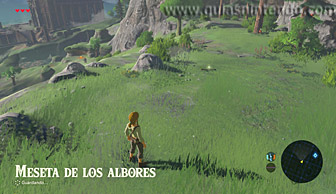 The Legend of Zelda: Breath of the Wild