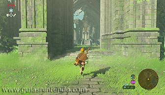 The Legend of Zelda: Breath of the Wild
